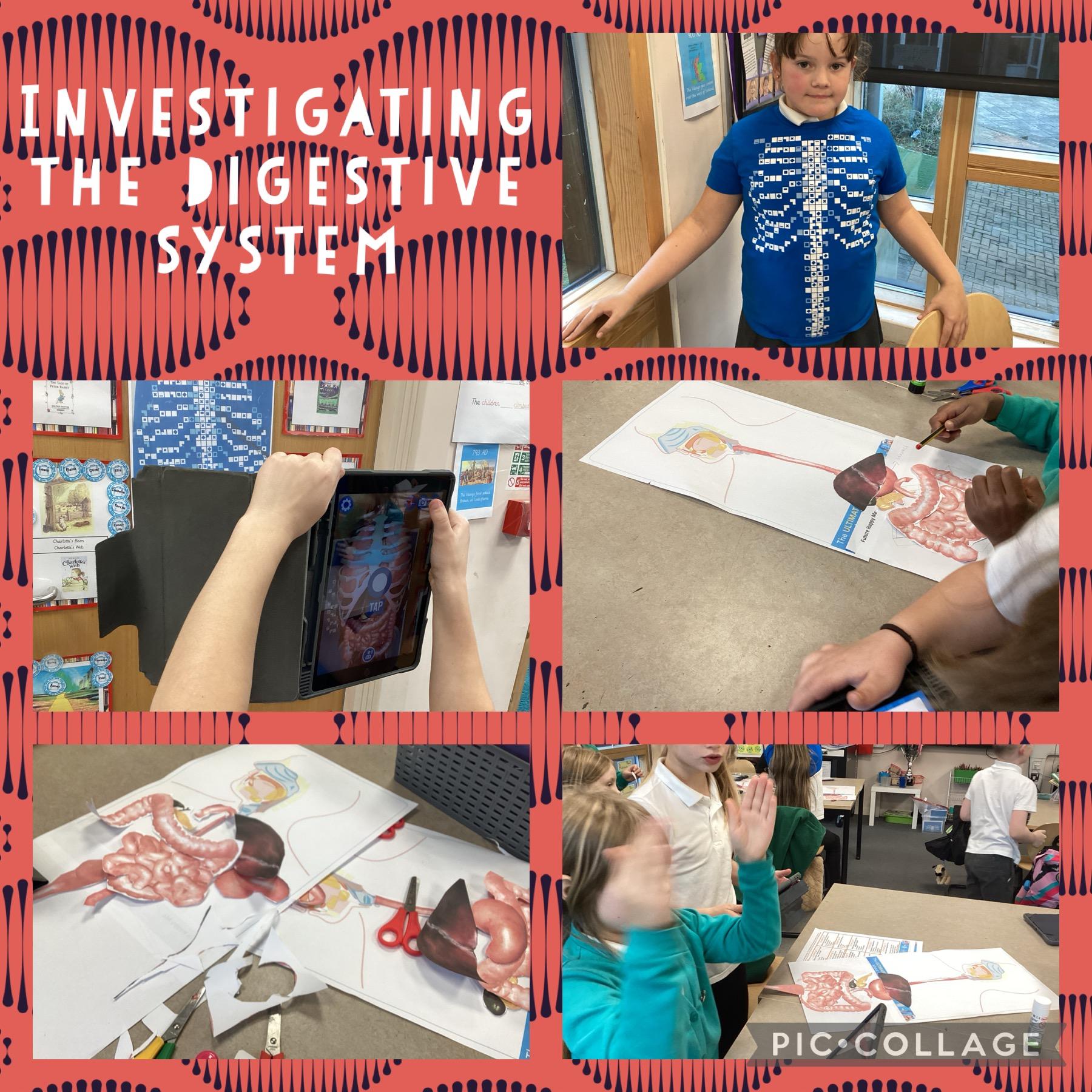 We used the Virtuali-tee app to learn about the digestive system.