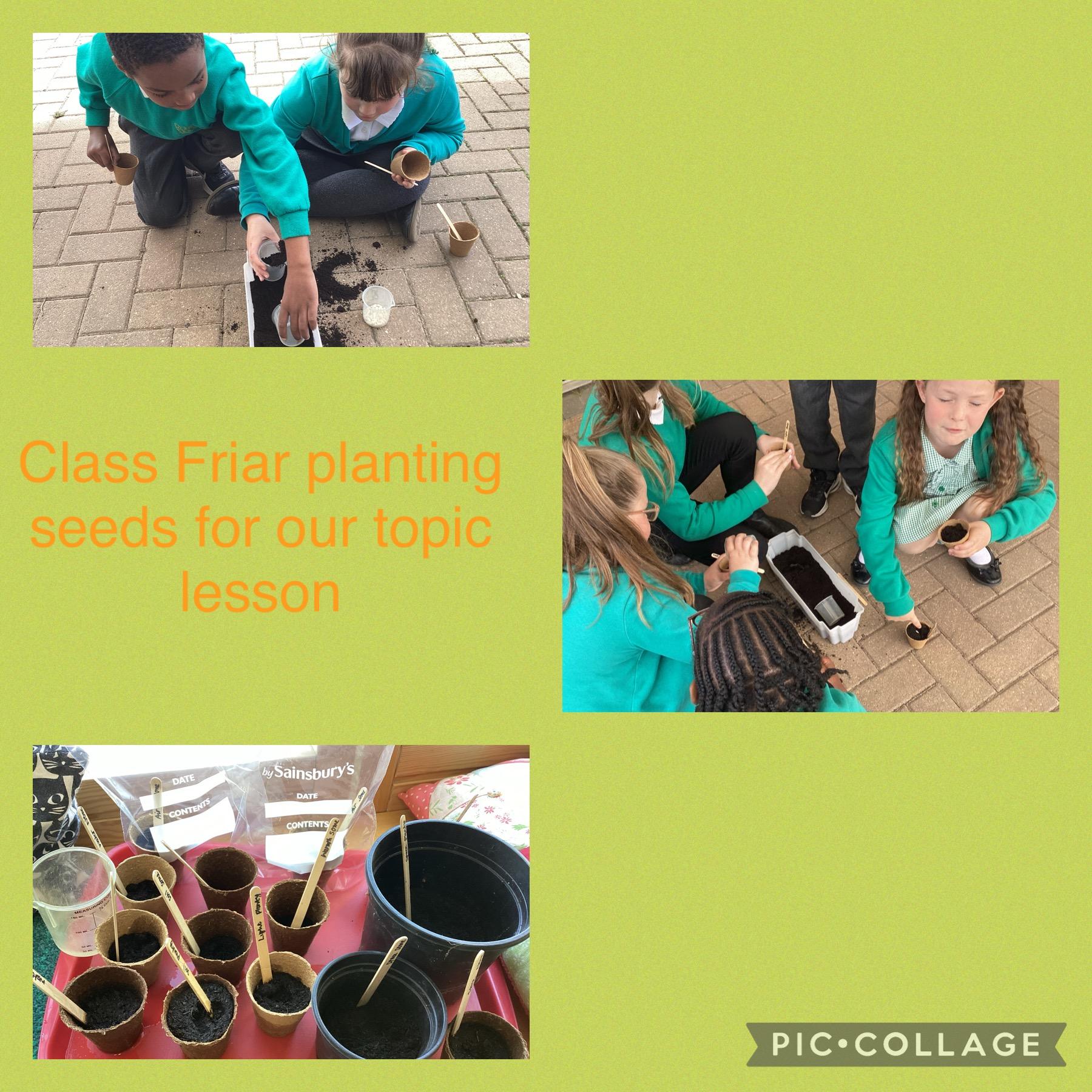Science - planting